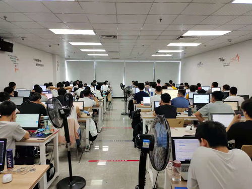 新起點，新夢想 在黑馬程序員技術社區揚帆起航